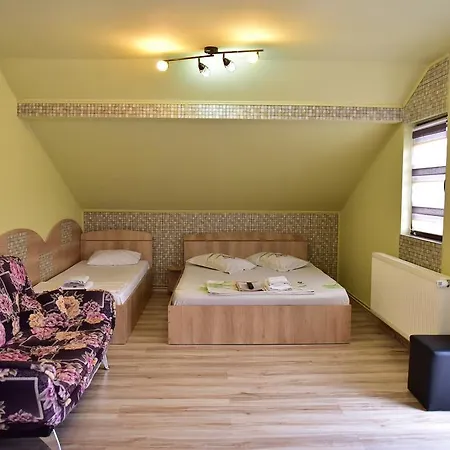 Pensiunea Dely_cios Guest house